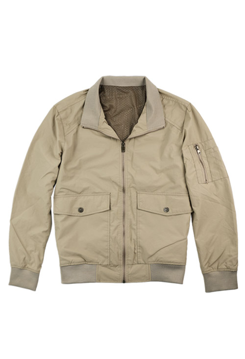 그레이하운드(Greyhound)